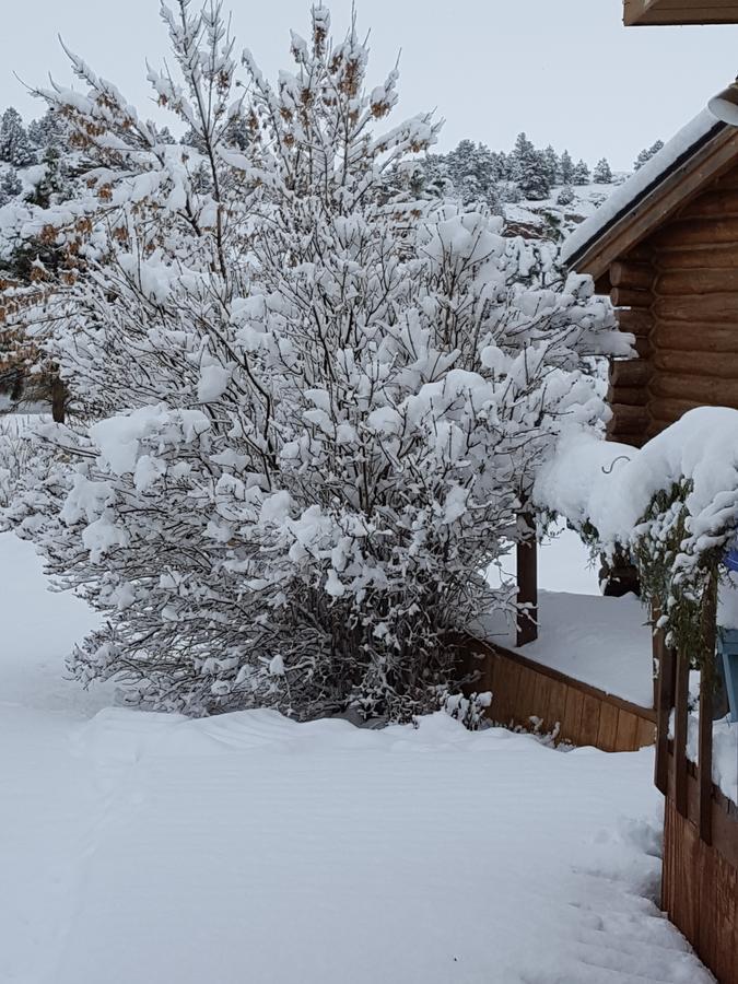 הוט ספרינגס River Falls Lodging -Black Hills, South Dakota מראה חיצוני תמונה